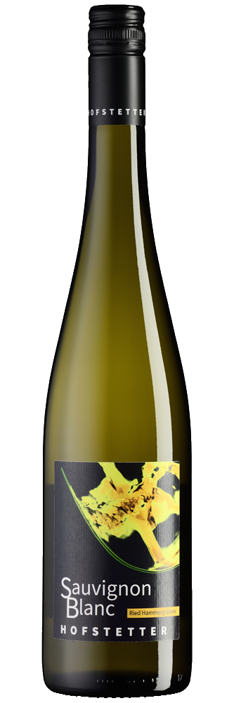 Sauvignon Blanc Ried Hammergraben DAC