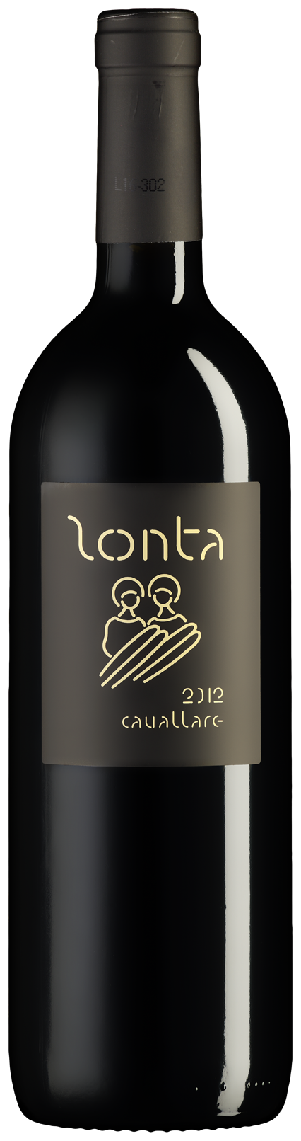 Cavallare Breganze Rosso DOC