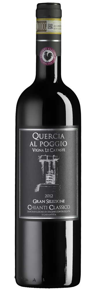 Chianti Classico Gran Selezione
Vigna le Cataste DOCG