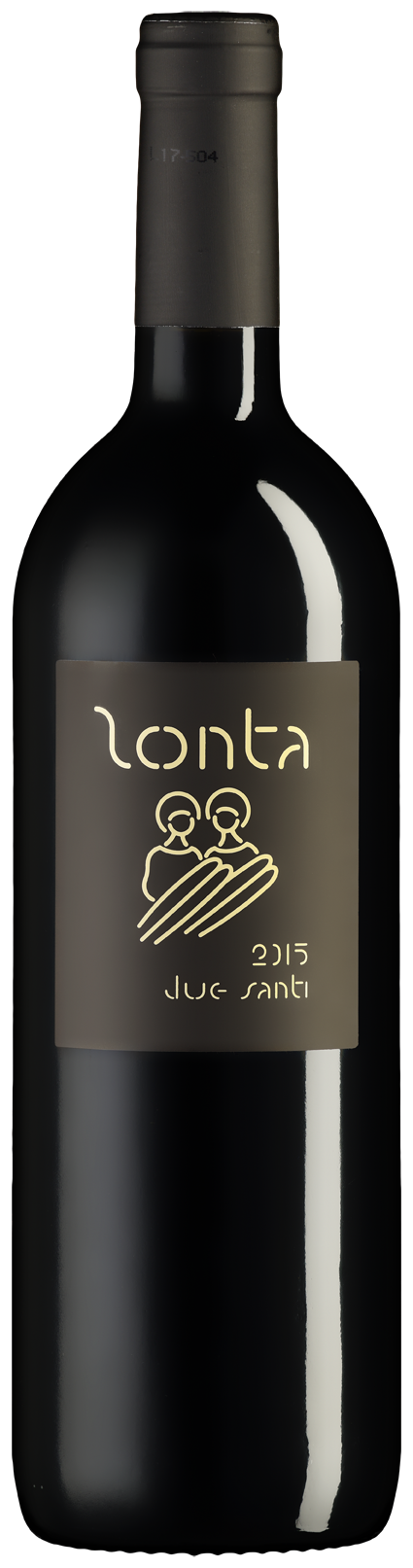 Due Santi Breganze Cabernet DOC