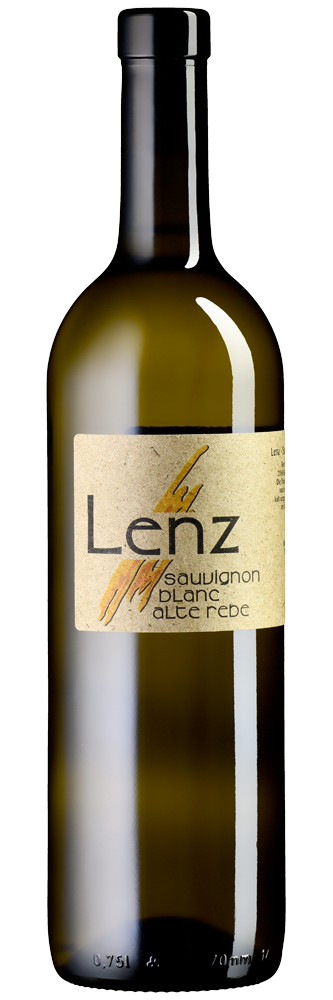 Sauvignon blanc Alte Rebe