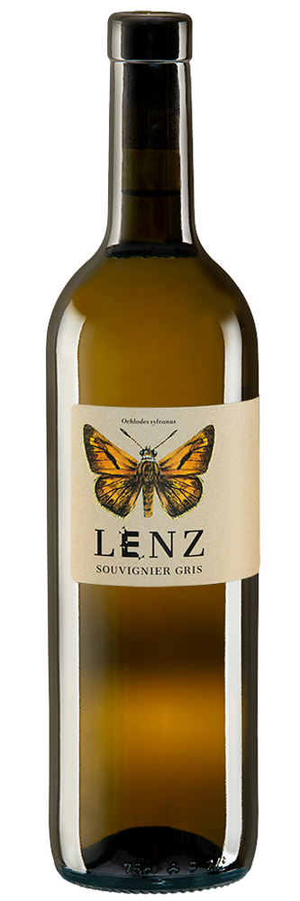 Souvignier Gris VdP 